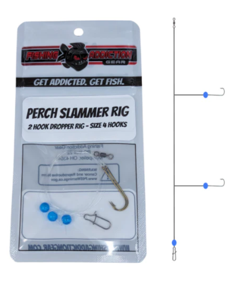 Fishing Addiction: Perch Slammer Rig