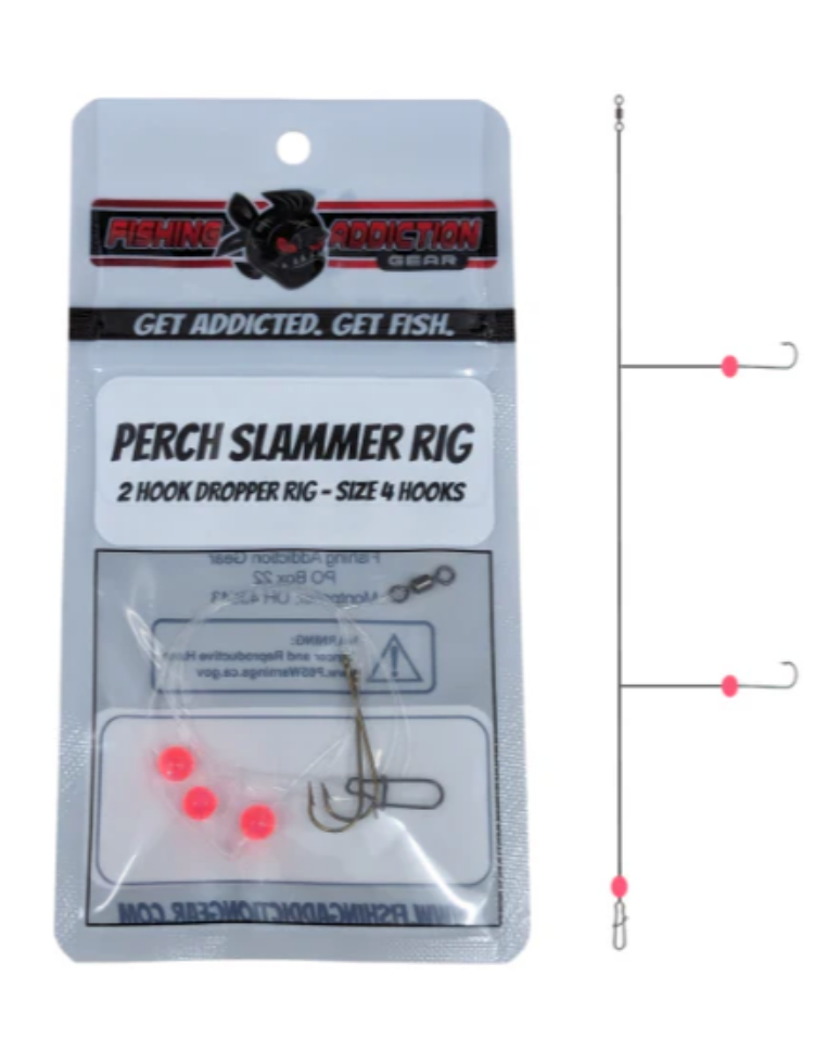 Fishing Addiction: Perch Slammer Rig